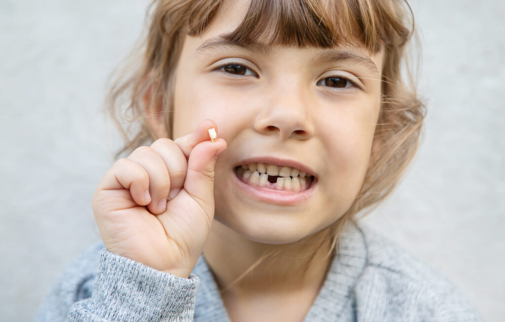 Un enfant montre une dent de lait tombée - combien de dents de lait a un être humain ?